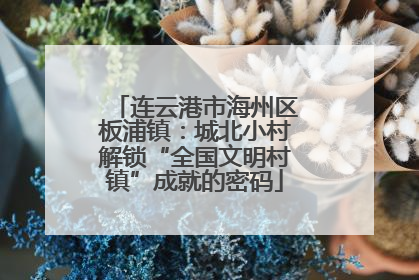 连云港市海州区板浦镇：城北小村解锁“全国文明村镇”成就的密码