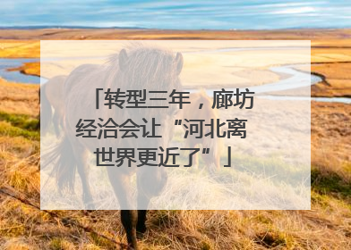 转型三年，廊坊经洽会让“河北离世界更近了”