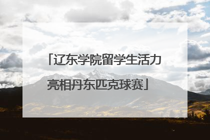 辽东学院留学生活力亮相丹东匹克球赛