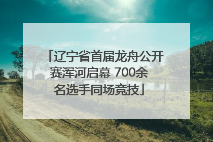 辽宁省首届龙舟公开赛浑河启幕 700余名选手同场竞技
