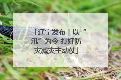 辽宁发布｜以“汛”为令 打好防灾减灾主动仗