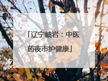 辽宁岫岩：中医药夜市护健康