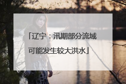 辽宁：汛期部分流域可能发生较大洪水