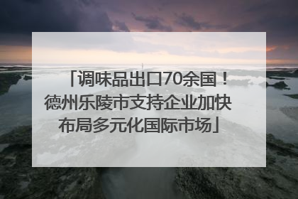 调味品出口70余国！德州乐陵市支持企业加快布局多元化国际市场