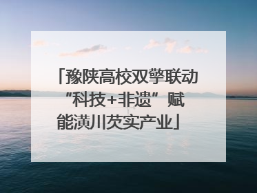 豫陕高校双擎联动 “科技+非遗”赋能潢川芡实产业