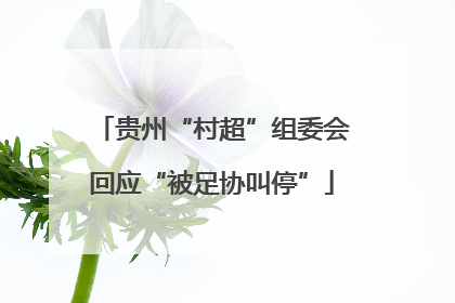 贵州“村超”组委会回应“被足协叫停”