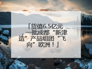 货值6.5亿元，一批成都“新津造”产品组团“飞向”欧洲！