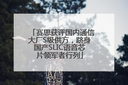 赛思获评国内通信大厂S级供方，跻身国产SLIC语音芯片领军者行列