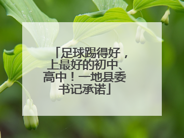 足球踢得好，上最好的初中、高中！一地县委书记承诺