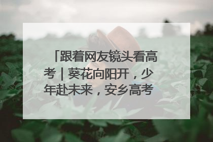跟着网友镜头看高考｜葵花向阳开，少年赴未来，安乡高考首日的希望图景