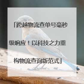 跨越物流查单号毫秒级响应！以科技之力重构物流查询新范式