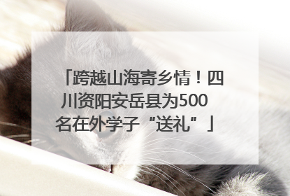 跨越山海寄乡情！四川资阳安岳县为500名在外学子“送礼”