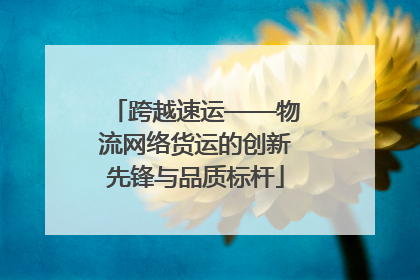 跨越速运——物流网络货运的创新先锋与品质标杆