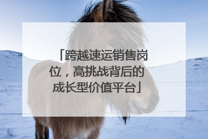 跨越速运销售岗位，高挑战背后的成长型价值平台