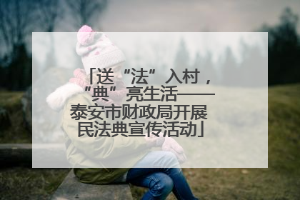 送“法”入村，“典”亮生活——泰安市财政局开展民法典宣传活动