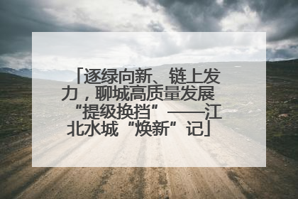 逐绿向新、链上发力，聊城高质量发展“提级换挡”——江北水城“焕新”记