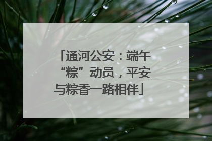 通河公安：端午“粽”动员，平安与粽香一路相伴