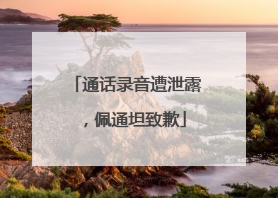 通话录音遭泄露，佩通坦致歉