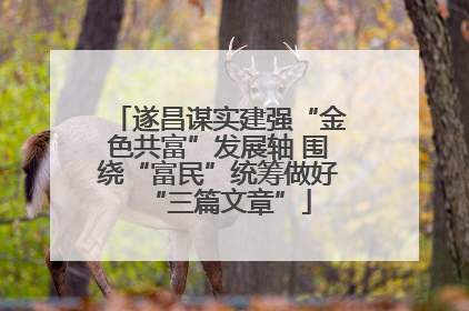 遂昌谋实建强“金色共富”发展轴 围绕“富民”统筹做好“三篇文章”