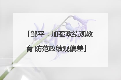 邹平：加强政绩观教育 防范政绩观偏差