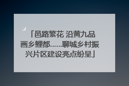 邑路繁花 沿黄九品 画乡鲤都……聊城乡村振兴片区建设亮点纷呈