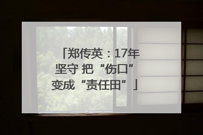郑传英：17年坚守 把“伤口”变成“责任田”