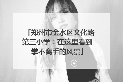 郑州市金水区文化路第三小学：在这里看到拳不离手的风景