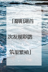 鄱阳湖首次发现彩鹮筑巢繁殖