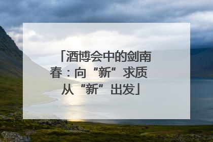 酒博会中的剑南春：向“新”求质 从“新”出发
