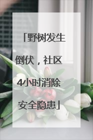 野树发生倒伏，社区4小时消除安全隐患