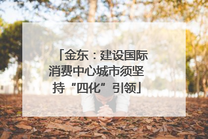 金东：建设国际消费中心城市须坚持“四化”引领