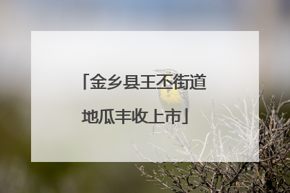 金乡县王丕街道地瓜丰收上市