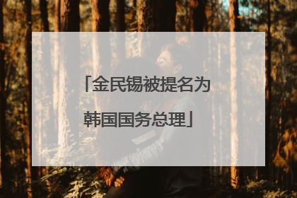 金民锡被提名为韩国国务总理