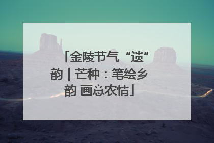 金陵节气“遗”韵｜芒种：笔绘乡韵 画意农情