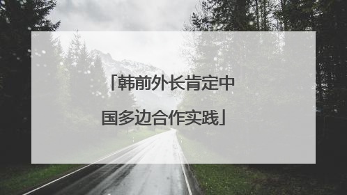 韩前外长肯定中国多边合作实践