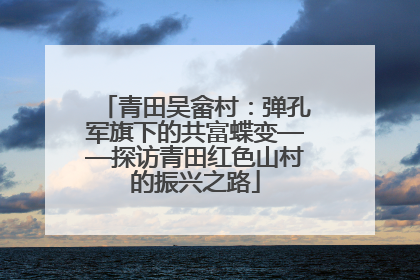 青田吴畲村：弹孔军旗下的共富蝶变——探访青田红色山村的振兴之路