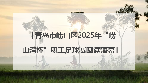 青岛市崂山区2025年“崂山湾杯”职工足球赛圆满落幕