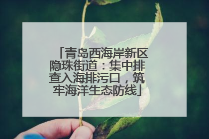 青岛西海岸新区隐珠街道：集中排查入海排污口，筑牢海洋生态防线