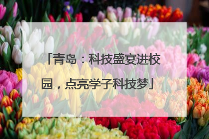 青岛：科技盛宴进校园，点亮学子科技梦