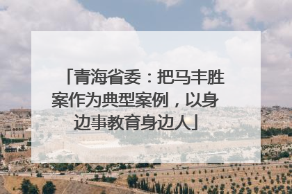青海省委：把马丰胜案作为典型案例，以身边事教育身边人