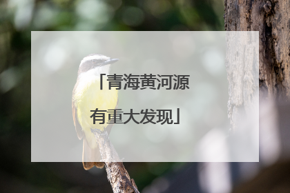 青海黄河源有重大发现