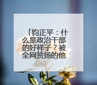 钧正平：什么是政治干部的好样子？被全网赞扬的他，用行动作出了回答