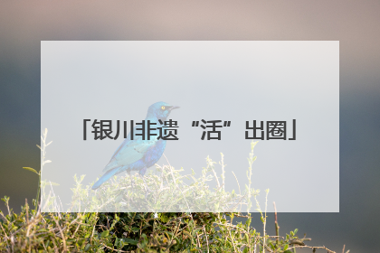 银川非遗“活”出圈