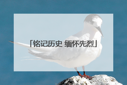 铭记历史 缅怀先烈