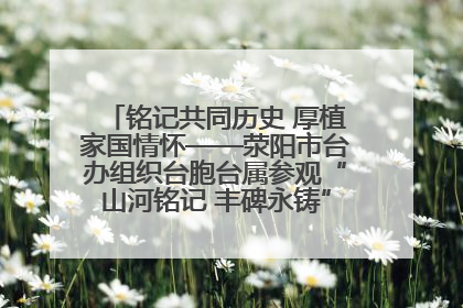 铭记共同历史 厚植家国情怀——荥阳市台办组织台胞台属参观“山河铭记 丰碑永铸”抗战胜利图片展