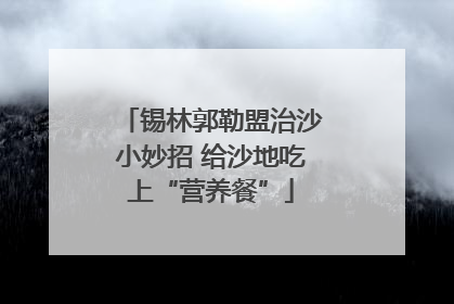 锡林郭勒盟治沙小妙招 给沙地吃上“营养餐”