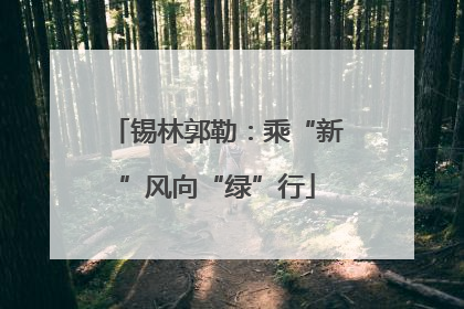 锡林郭勒：乘“新”风向“绿”行