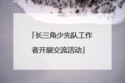 长三角少先队工作者开展交流活动