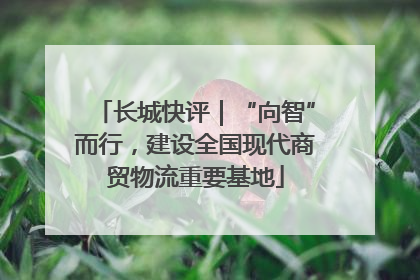 长城快评｜“向智”而行，建设全国现代商贸物流重要基地