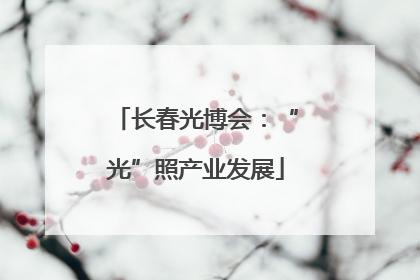 长春光博会：“光”照产业发展
